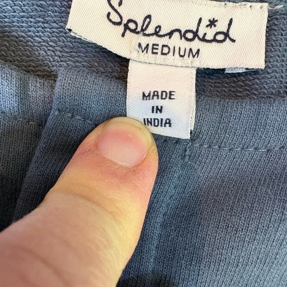 SPLENDID X WILD ONE Blue Dog Sweater